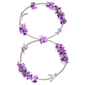 vector image of the number 8 in the form of lavender sprigs in bright purple colors