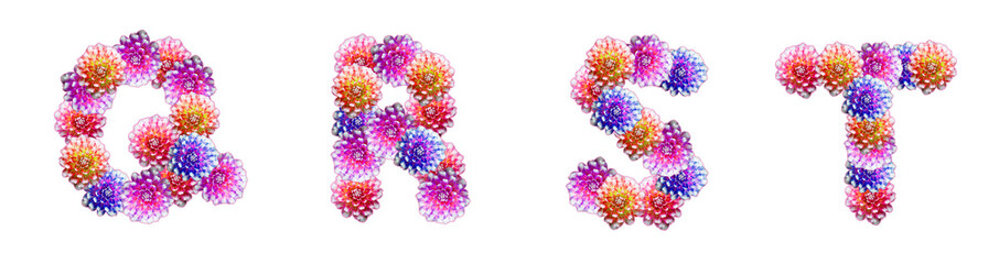 Letters Q, R, S, T made of peony flowers