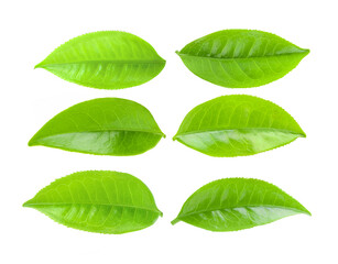 tea leaves on a white background
