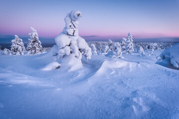 Snow-covered sculptures on the slopes of the hill. Winter polar landscape at dawn.