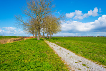 Fototapeta na wymiar Green meadow in a rural area below a blue cloudy sky in sunlight in spring, Almere, Flevoland, The Netherlands, April 13, 2021