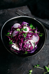 Purple cabbage salad with radish and cucumber