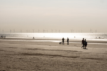 Fototapeta na wymiar Silhouettes of people walking along a beach
