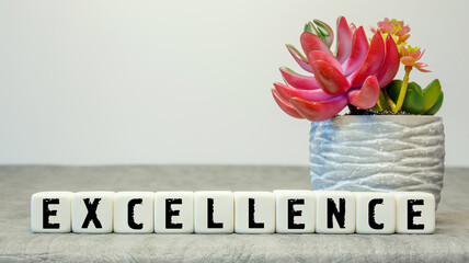Soft cubes with the abbreviation Excellence with a flower