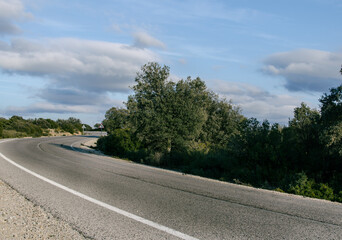 hairpin turn on a vegetated road