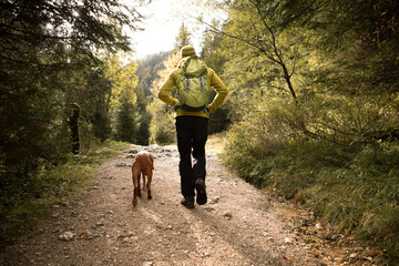 Traveler Man trekker with him dog walk around mountains in sunny day. Backpacker walking in...