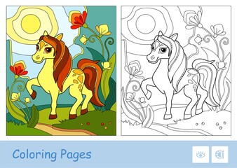 Colored template and colorless contour image of a skewbald horse in the meadow. Farm animals preschool kids coloring book illustrations