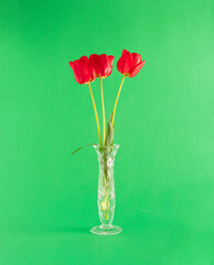 Obraz premium fresh red tulips whith green leaves in the vase on bright green background. aesthetic art. minimal summer background