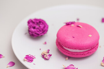 Rose flavour macaroon on a plate on grey pastel background.