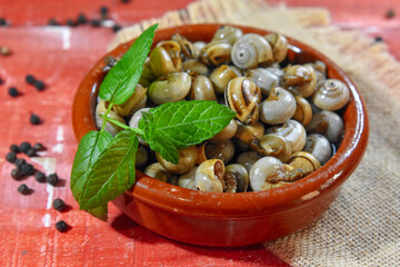 Traditional Spanish  Snails Food