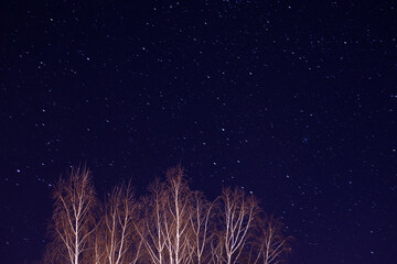 Night sky in the village