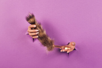Anal sex toy with a fluffy tail on a pink background in the hands of a woman . Erotic toy for fun. Sex gadget and device for masturbation. Space for the text. The concept of a sex shop.