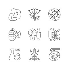 Allergy danger linear icons set. Queen Anne lace. Dry tumbleweed. Timothy grass. Chemical sulphites. Customizable thin line contour symbols. Isolated vector outline illustrations. Editable stroke