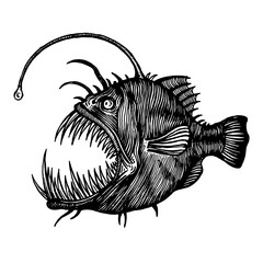 Angler fish, Lophiiformes, vector illustration. Drawing with an ink pen and pencil. A collection of fish.