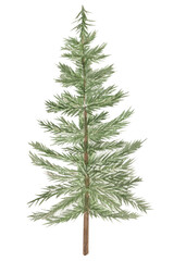 Watercolor illustration pine, fir-tree stylized.