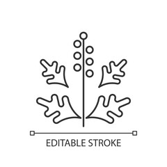 Ragweed pollen linear icon. Blooming ambrosia. Cause of allergic reaction. Allergy for plant. Thin line customizable illustration. Contour symbol. Vector isolated outline drawing. Editable stroke