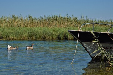 boat on the river