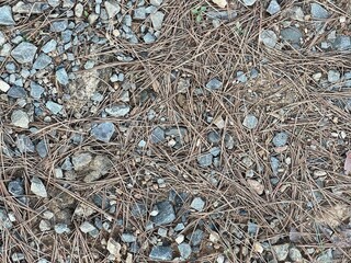 texture