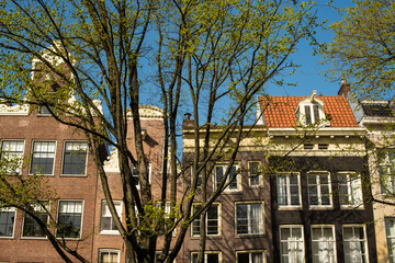 beautiful canal houses and bridges in Amsterdam