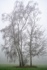 Doetinchem, Netherlands - december 2020