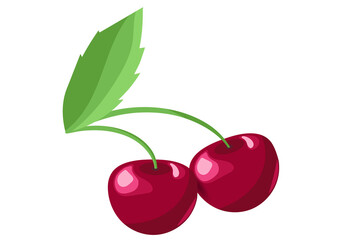 Two berries of a cherry on a branch with a leaf. White background. Isolated cherry. vector EPS