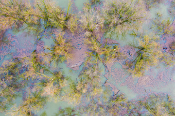 Millingen aan de Rijn, Netherlands - februari 2021