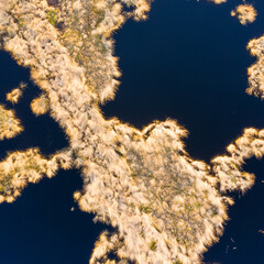 Haaksbergen, Netherlands - februari 2021