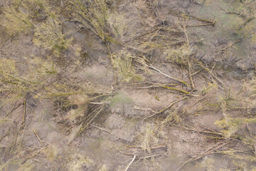 Millingen aan de Rijn, Netherlands - februari 2021