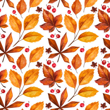 Maple Leaf Background