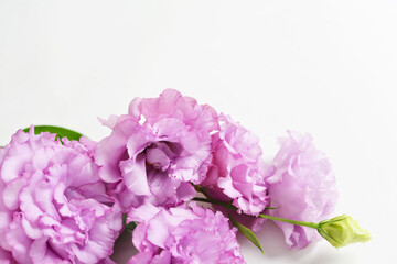 薄紫のトルコキキョウの花