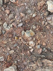 texture