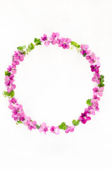 Round frame wreath from spring pink flowers and leaves on a white background. Top view. Flat lay.