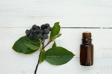 Aronia melanocarpa, black-fruited mountain ash essential oil bottle on wooden background. Copy space