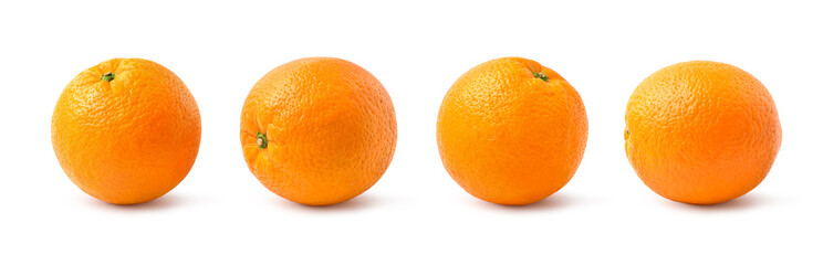 Collection of four Orange fruits isolated on white background. Clipping path.