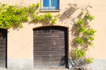 Fototapeta na wymiar Yellow wall with a closed gate and a green ivy in the famous Navigli neighborhood in Milan, Italy.