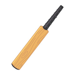 bat for cricket