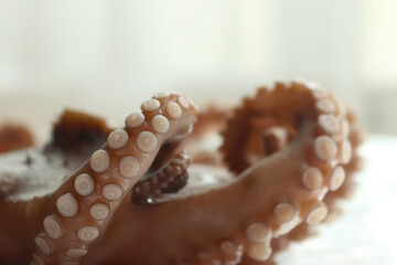Whole fresh raw octopus. Food concept. Food background.