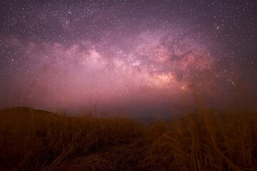 草原に横たわる天の川銀河