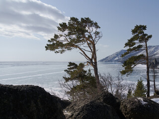 trees on a hill on the shore of the frozen lake Baikal. Siberia Russia
