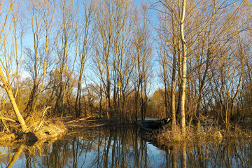 A beautiful reflection of the forest on the surface of the river