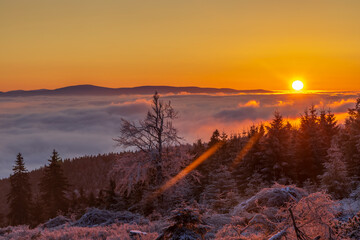 Sunrise in winter landscape near Velka Destna, Orlicke mountains, Eastern Bohemia, Czech Republic