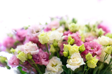 A bouquet of decorative roses of pink, green, white shade on a white background.