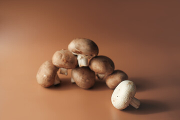 Royal mushroom champignons on beige background. vegetarian food. high protein meal. whole raw cultivated brown mushrooms. selective focus