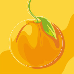 tropical orange fruit