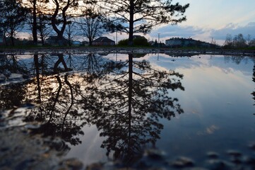 Reflection of trees and houses in a puddle after rain on a spring evening.