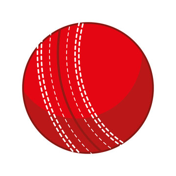 ball for cricket