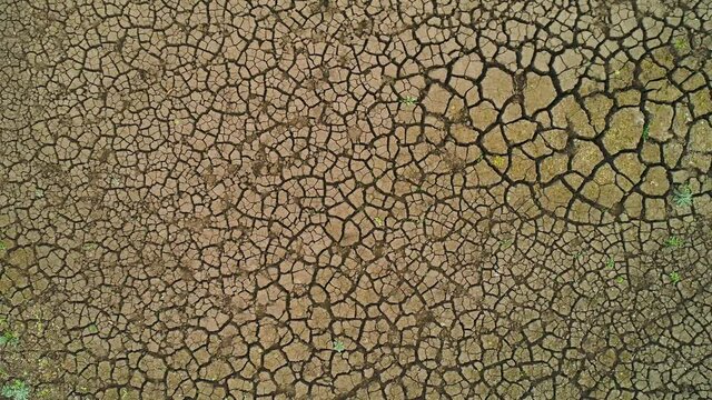 Top view of arid surface of earth. Shot. Arid terrain with clay soil and sparse grasses. Textured surface of dry earth with cracks