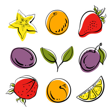 Strawberry, lemon, plum, apricot, star fruit. Whole and slices. Colorful line sketch collection of fruits and berries isolated on white background. Doodle hand drawn fruits. Vector illustration