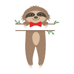 Cute Sloth boy character with Text separator, color isolated cartoon style vector illustration