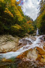 Obraz premium 紅葉の笹の滝 奈良県十津川村